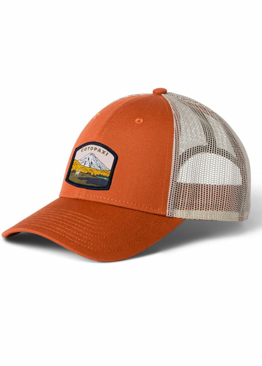 Accessories & Bags * | Cotopaxi Llamascape Trucker Hat Home Page